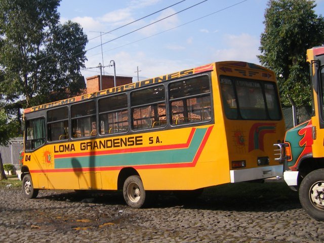 Cebra - Mercedes-Benz L 711 - Loma Grandense
