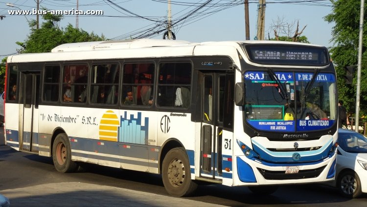 Volkwagen 15.190 EOD - Mascarello Gran Via Midi (en Paraguay) - ETC 1º de Diciembre
BUT 526

Línea 41 (Asunción), unidad 31
