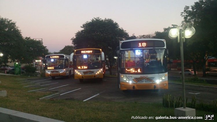 CARROCERIA RUVICHA
Buses del transporte público
Palabras clave: grupolince1@hotmail.com / +59521963500