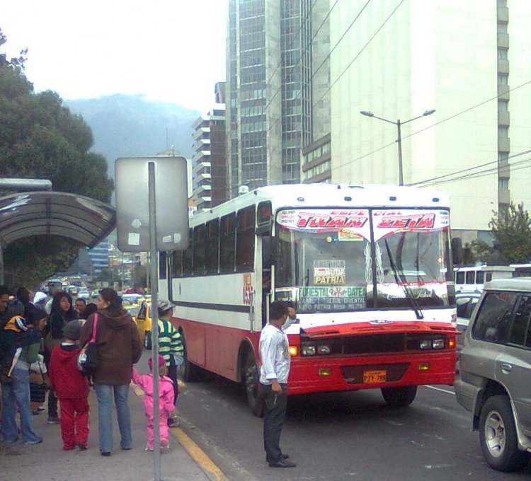 Hyundai Carroceria Pillapa
PZY789
Bus Urbano Quito Servicio Especial Coop Trans Zeta
Palabras clave: Hyundai Carroceria Pillapa