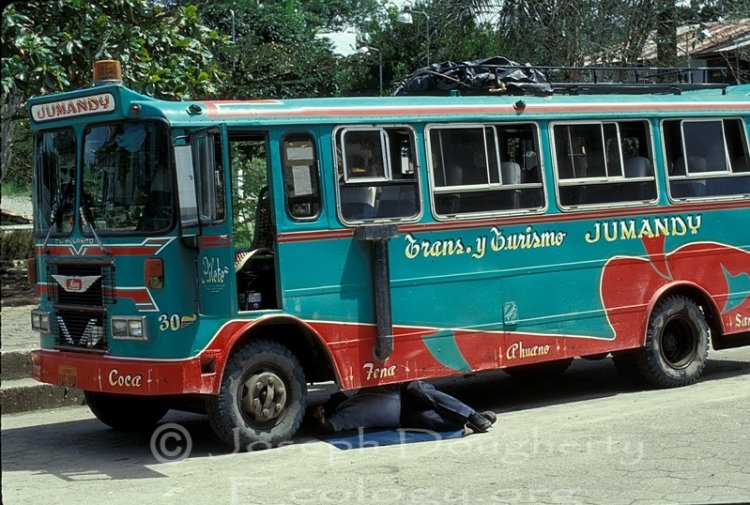 Hino ¿? Carroceria ¿?
Transportes Jumandy
Bus Clasico
Fotografia :Joseph Dougherty
Palabras clave: Deconocido