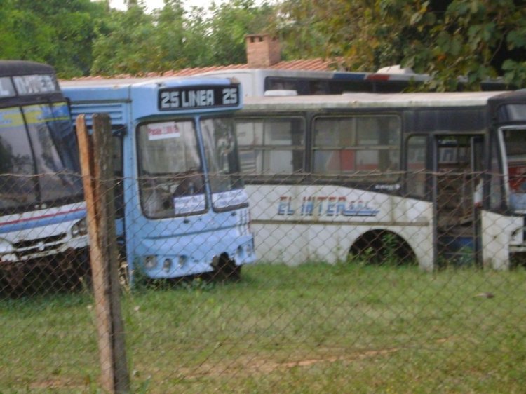 Mercedes-Benz OH 1318 - Metalpar Petrohue Ecológico (en Paraguay) - Amistad
Fotografía : dear
Bus con carroceria Metalpar en un Deposito del B.N.F. en Luque.
Palabras clave: MB