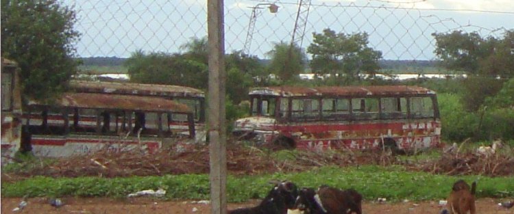 Antiguos Buses de la Linea 40 - Empresa "29 de Junio"
