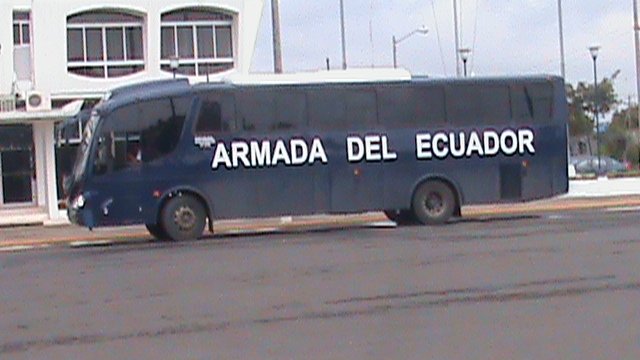 Miral Feline Plus
Bus Armada del Ecuador
