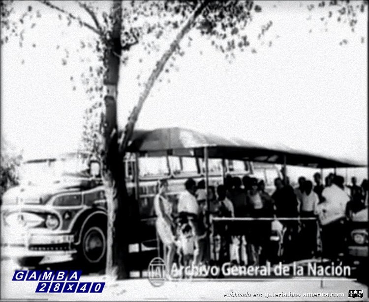Mercedes-Benz LO 1112 - Tte. General Roca
Línea 21

Recorte de un video del Achivo General de la Nación
Captura: Gamba 28x40

Palabras clave: Gamba / 21