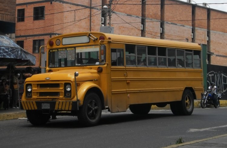 Chevrolet C-60 - Wayne Lifeguard (En Venezuela) - U.C.C. Ramo Verde 25
E-00056
Antiguo transporte escolar, recortado en la parte trasera, el poco voladizo lo delata. Tomada como parte del "Desfile de Cumpleaños" que llevé a cabo el día de mi cumpleaños número 23
Palabras clave: Wayne Chevrolet