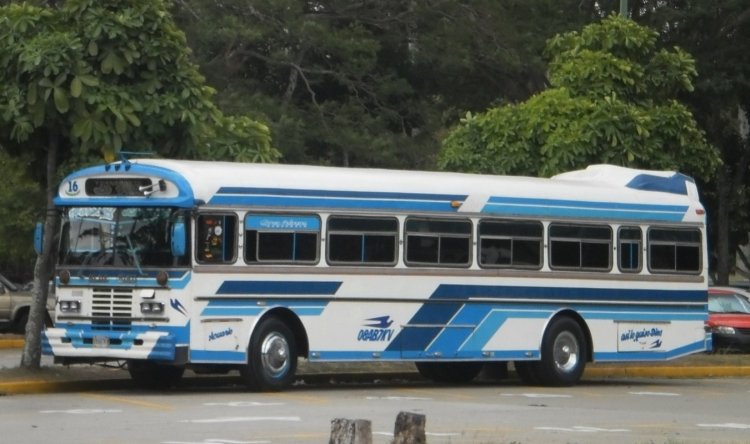 Blue Bird Convencional Integral (En Venezuela) - Transporte La Villa 16
08AB7KV
Cubriendo un servicio especial en el Parque del Este
Palabras clave: Blue Bird Cummins