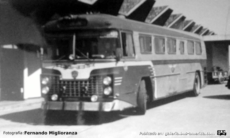 Scania Vabis - Sureña - T.A.L.S.A.
"La Lujanera"

Fotografía: Fernando Miglioranza
