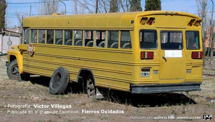 Ford (F.M.C.) - Wayne (en Argentina) - Escolar
Q 039751 - WSN 929
